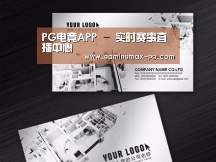 项目名称五