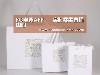 项目名称十一