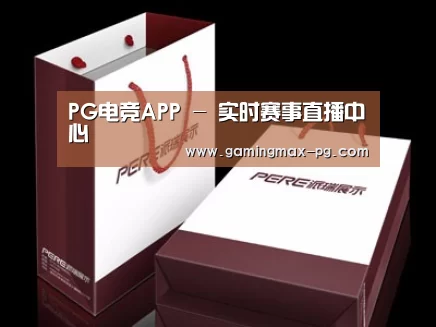 项目名称十二