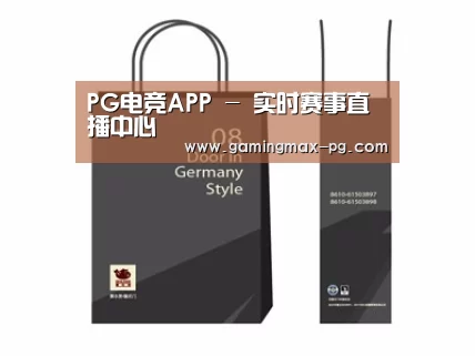 项目名称十四