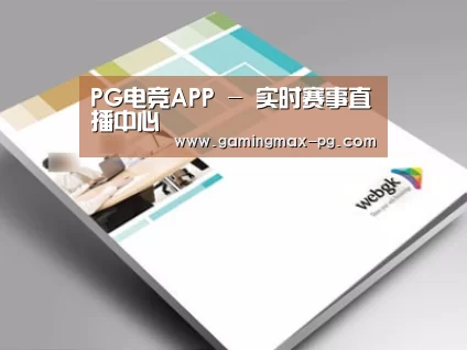 项目名称九