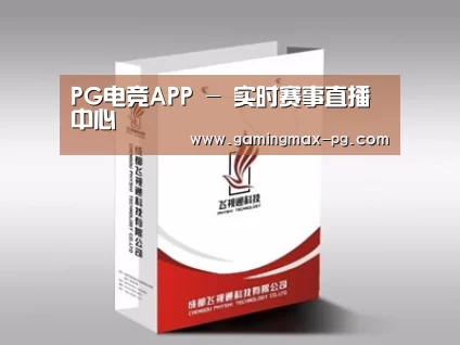 项目名称十三