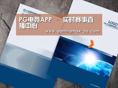 项目名称十