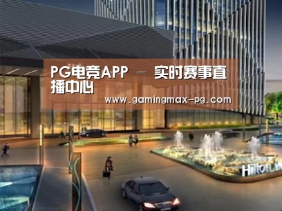 案例展示二