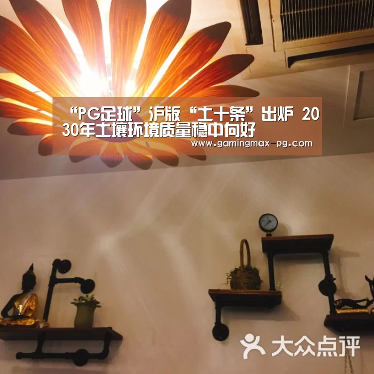 “PG足球”沪版“土十条”出炉 2030年土壤环境质量稳中向好(图1) PG足球