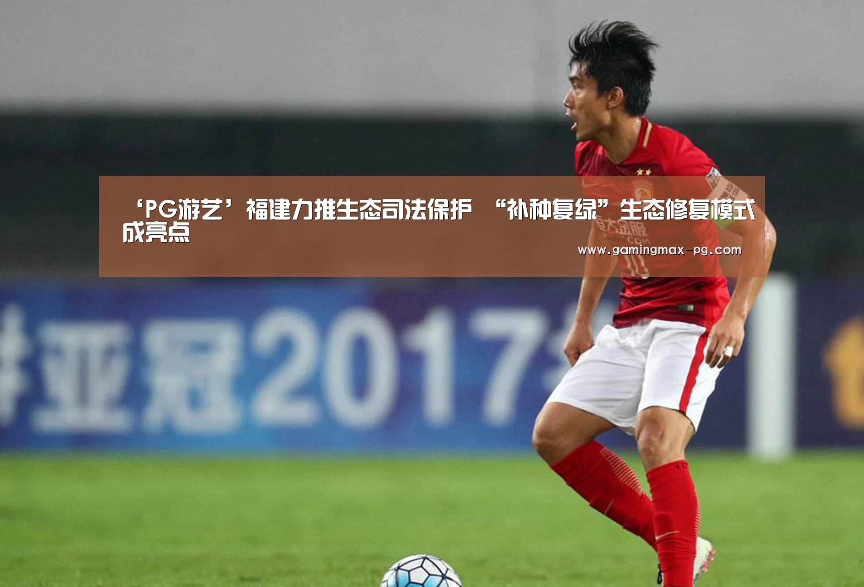 ‘PG游艺’福建力推生态司法保护 “补种复绿”生态修复模式成亮点(图4) PG入口