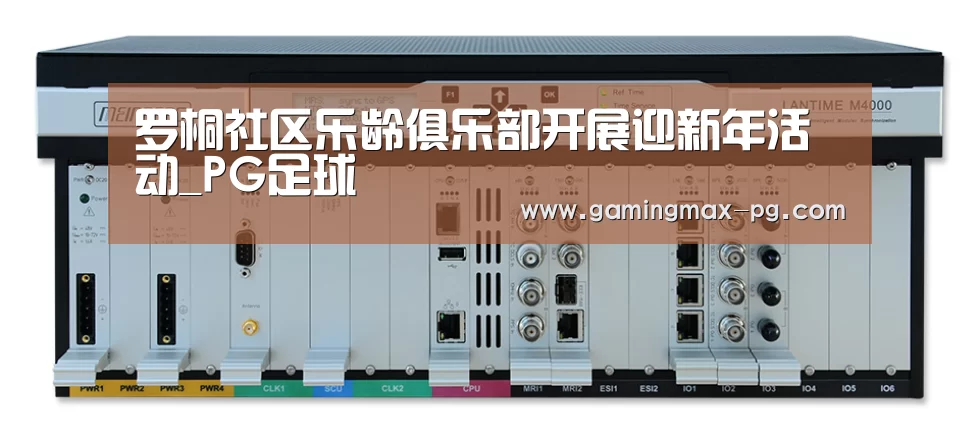 罗桐社区乐龄俱乐部开展迎新年活动_PG足球(图2) PG游艺