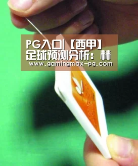 PG入口