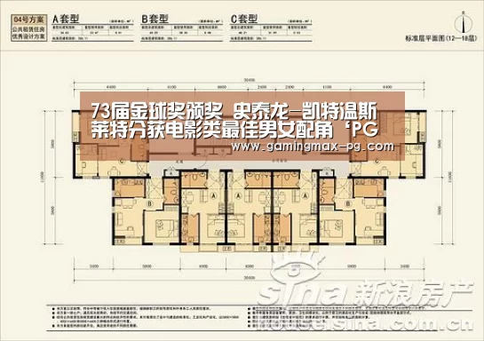 73届金球奖颁奖 史泰龙-凯特温斯莱特分获电影类最佳男女配角‘PG游艺’(图2) PG足球